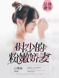 《总裁盛宠：叶少的粉嫩娇妻》陆瑾遥叶风结局完整版