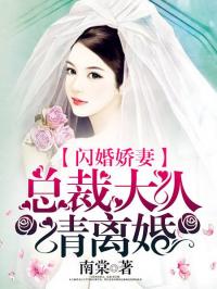 《闪婚娇妻：总裁大人请离婚》乐烟儿夜廷琛大结局阅读